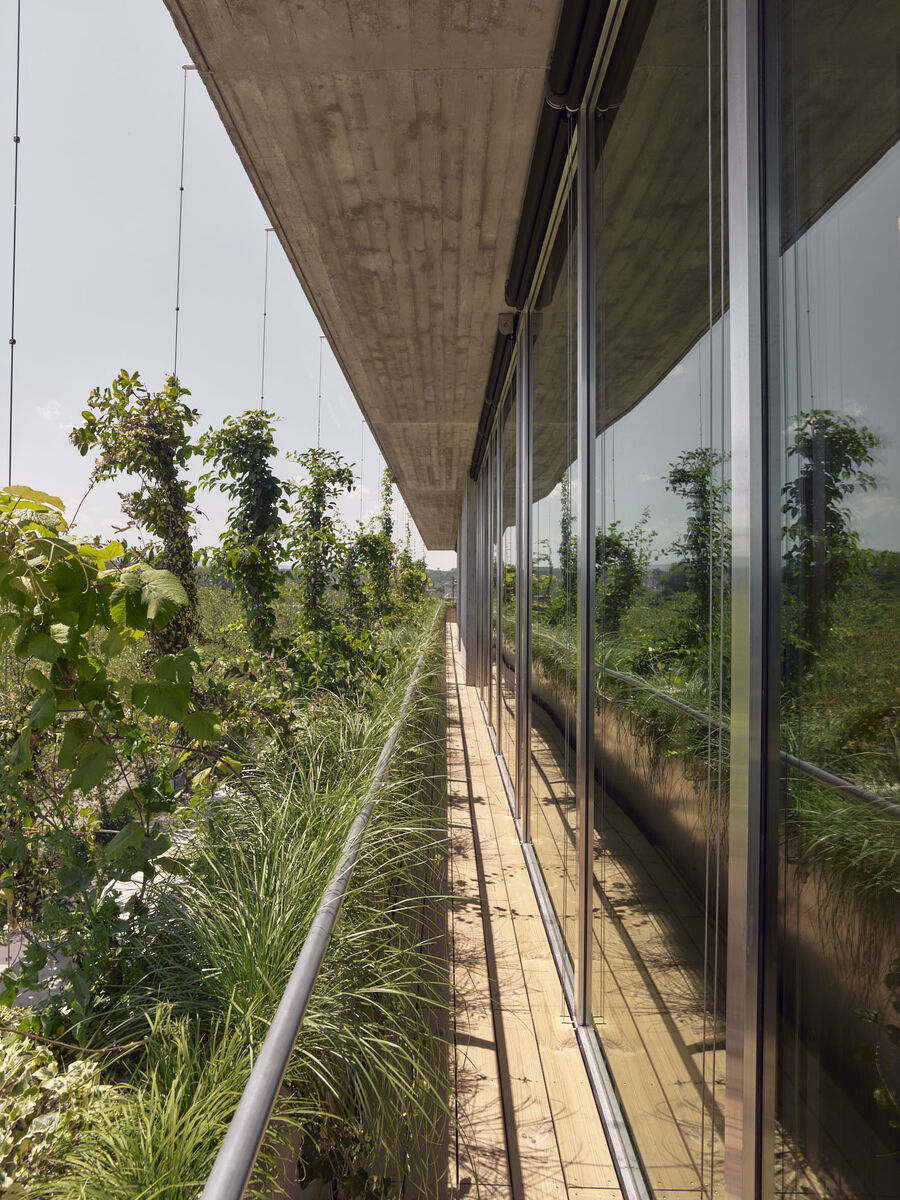Architekturfotografie Tropeninstitut Basel