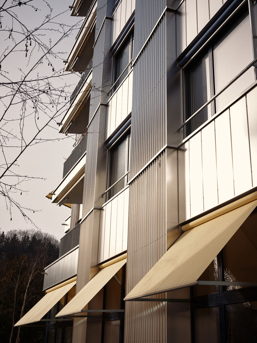 Emmenhof Areal Derendingen