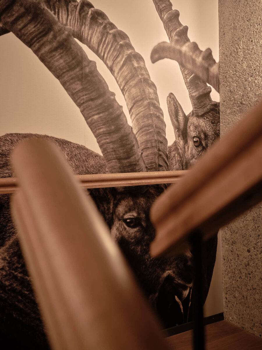 Umbau Palace Hotel Mürren – atmosphärische Architekturfotografie zwischen Geschichte und Gegenwart